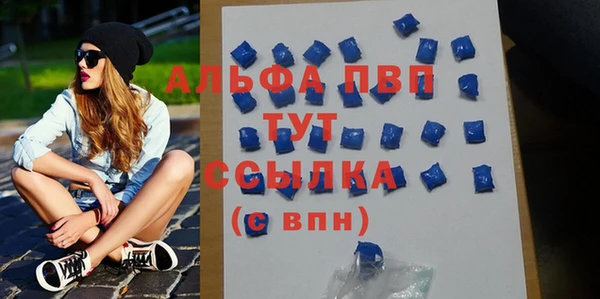 гашик Корсаков