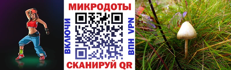 Псилоцибиновые грибы Psilocybine cubensis  закладки  Называевск 